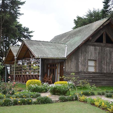 คาลามันเดอร์ เลค เกรกอรี Hotel นูวาราเอลิยา ภายนอก รูปภาพ